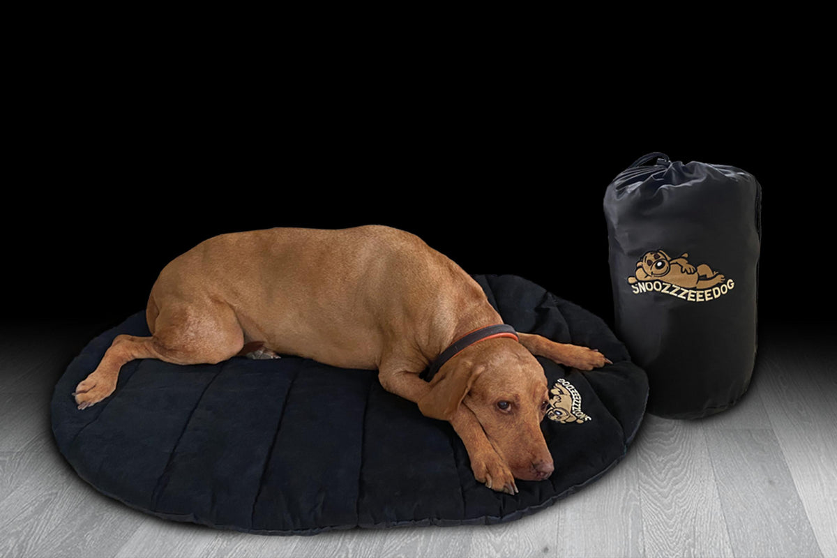 Dog travel hot sale bed uk