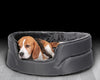 Deluxe Oval Bed-Snoozzzeee Dog